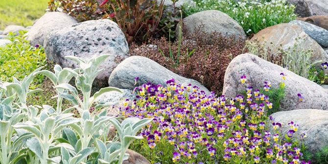 Close up of flower bed with stones